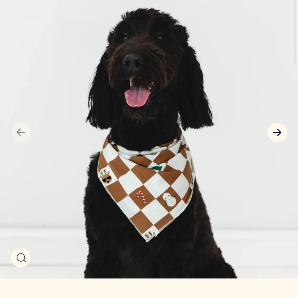 Dog Christmas bandana